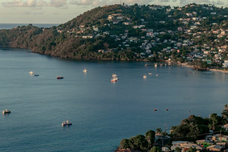 South coast bays