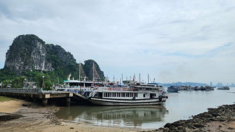 Cruise boats docked in Ha Long Bay