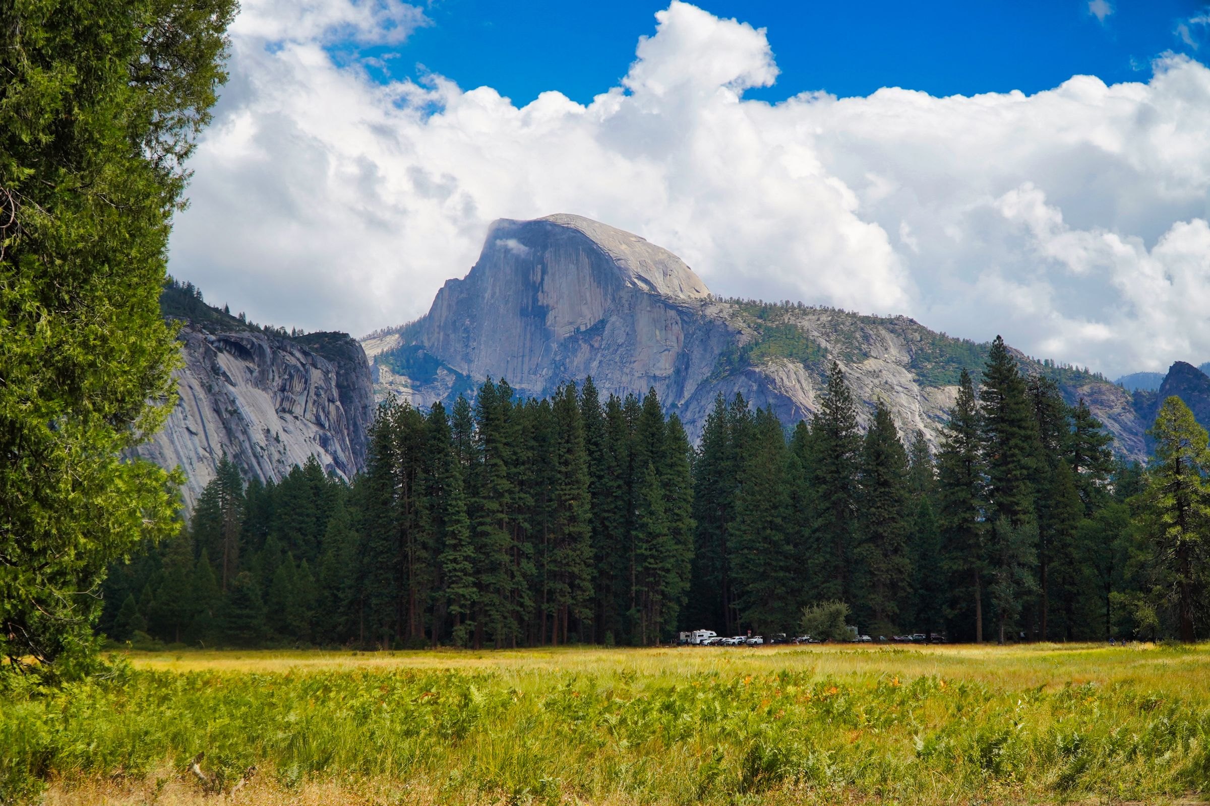 Half Dome above a meadow in Yosemite