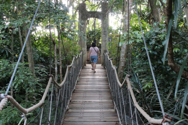 A woman crossing a wooden hanging bridge