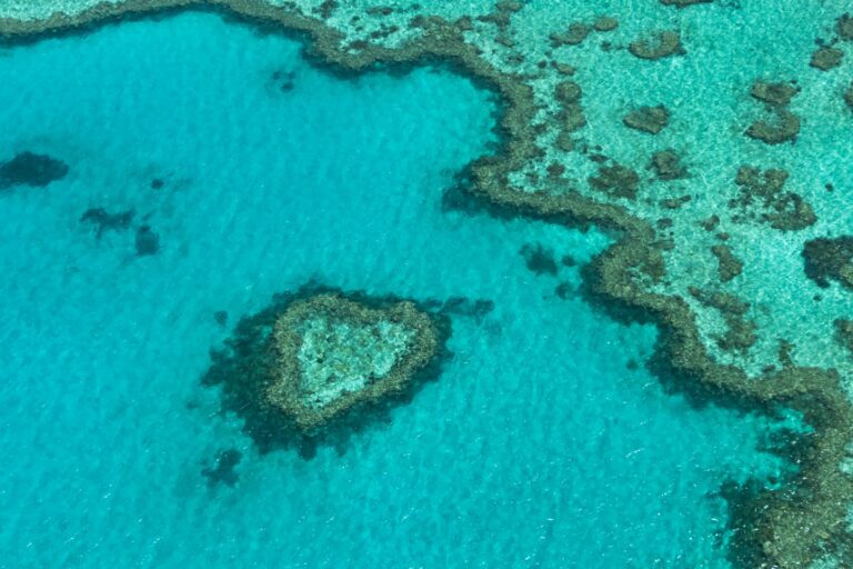 A heart-shaped coral formation on the Great Barrier Reef
