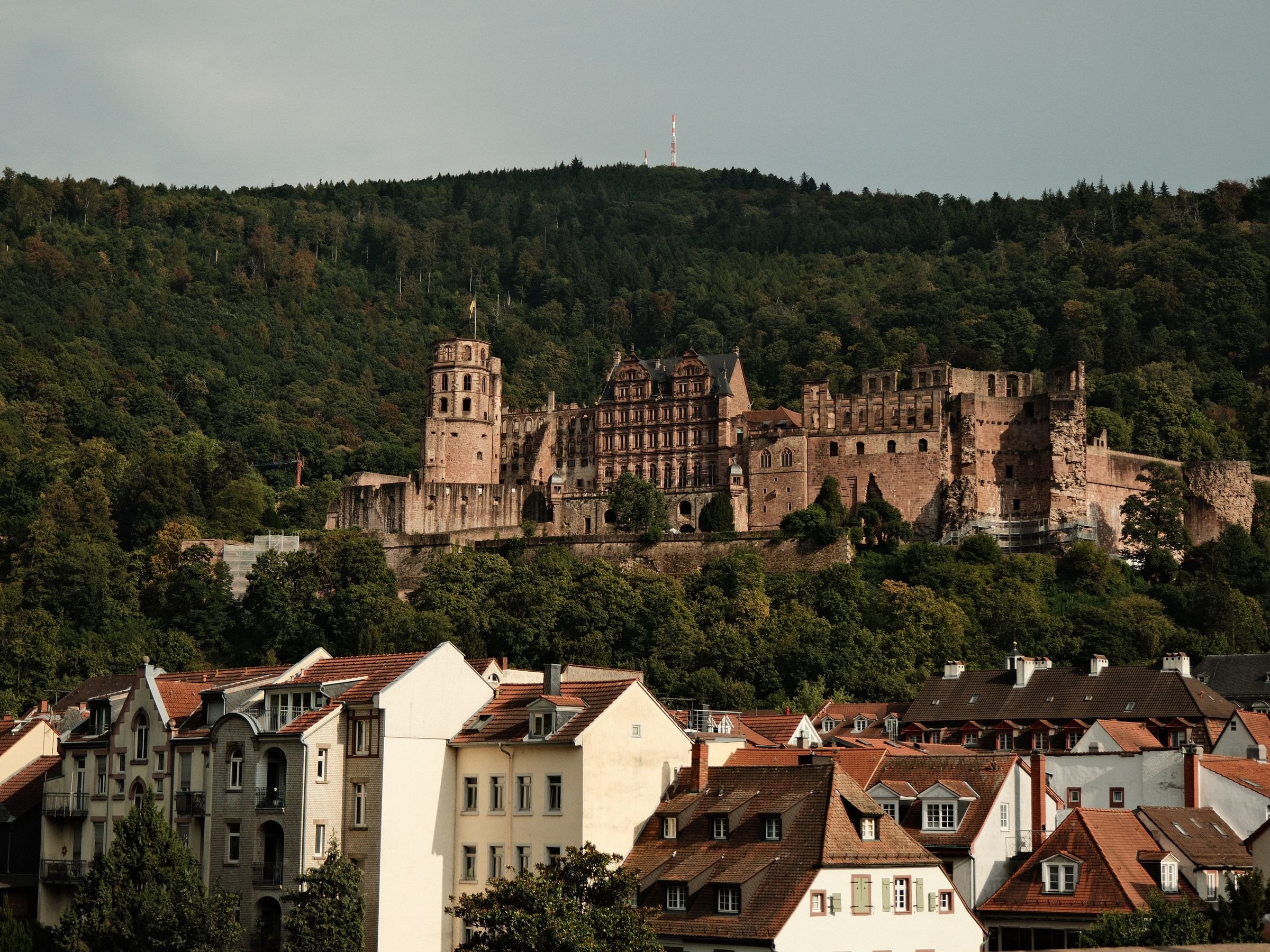 Heidelberg Castle above the old town
