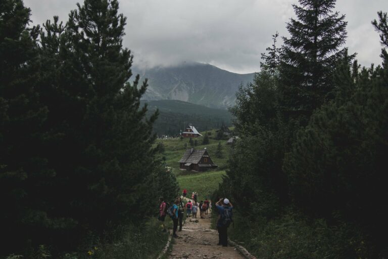 Hikers on a mountain trail near Zakopane