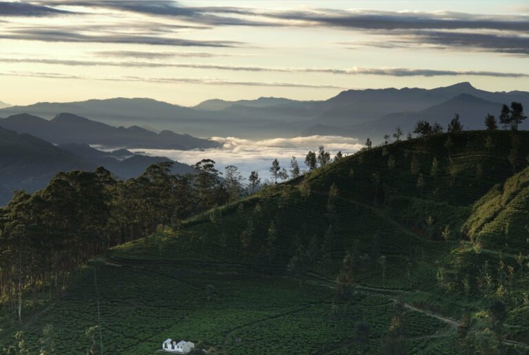 Mountain views in Sri Lanka's hill country
