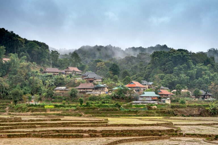 A village among forested hills and terraced fields