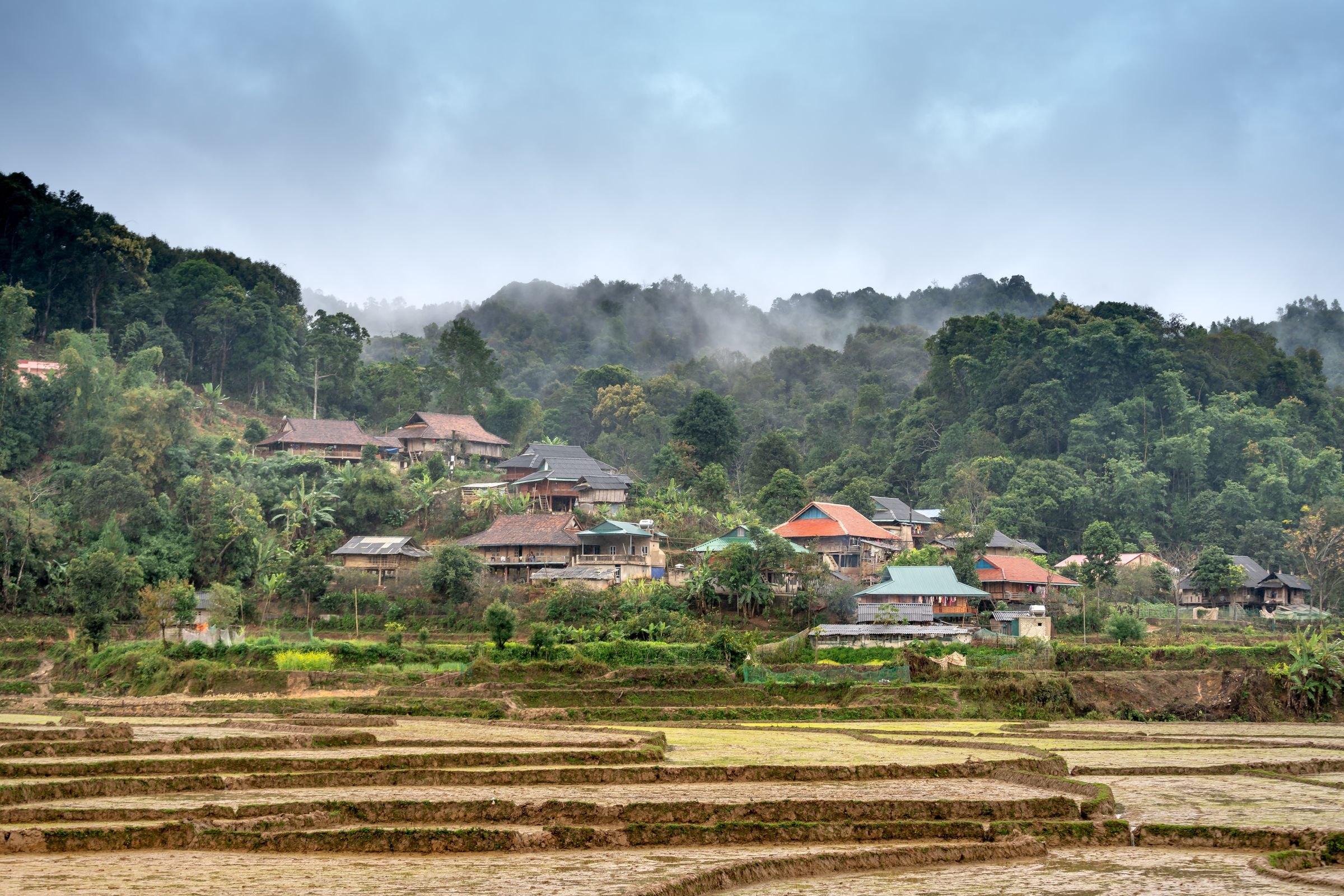 A village among forested hills and terraced fields