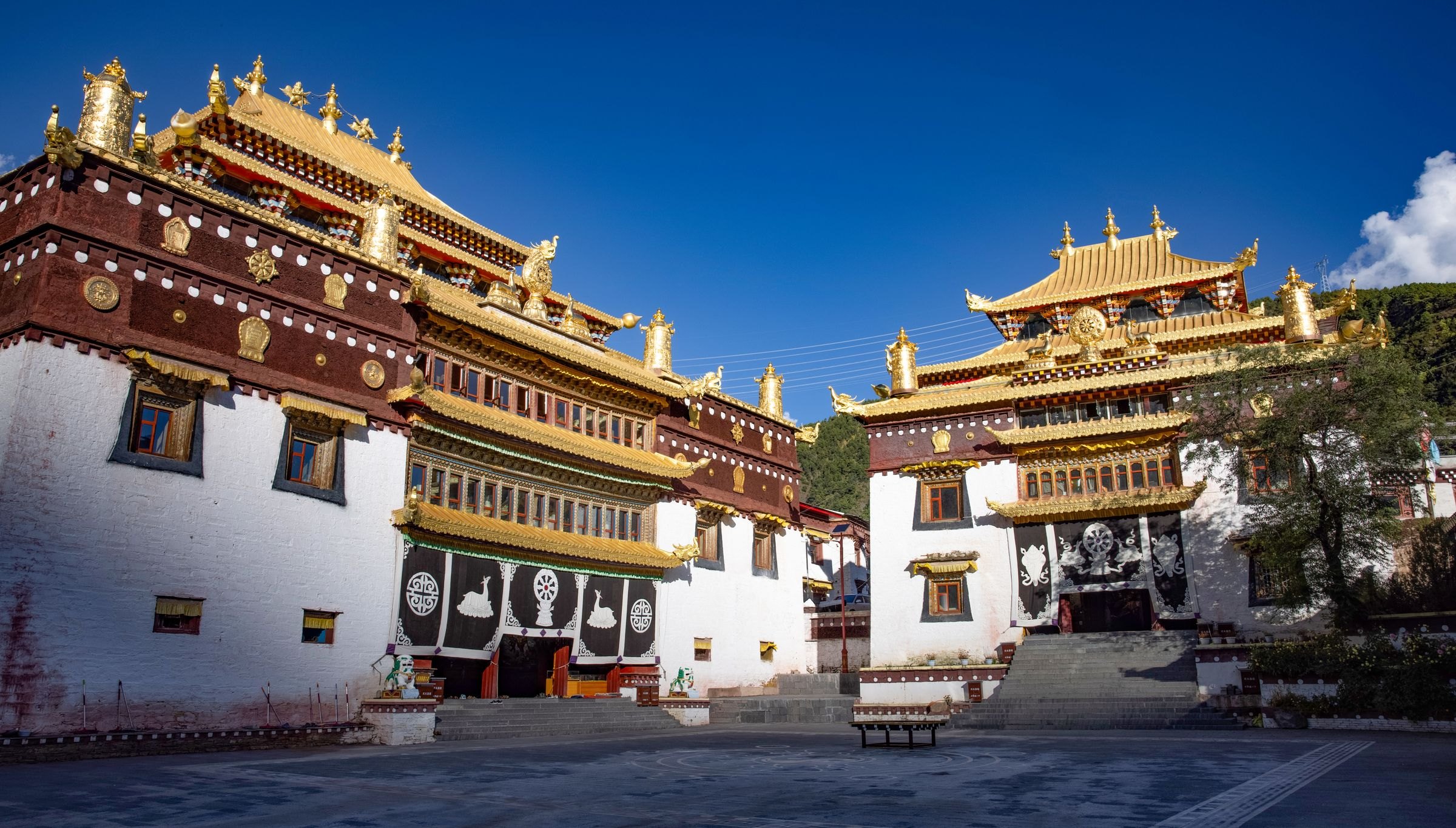A Tibetan Buddhist monastery with golden roofs