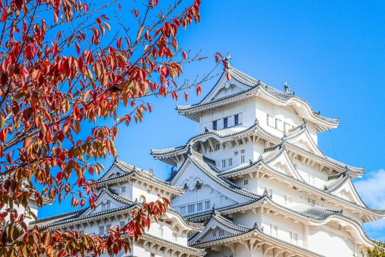 Himeji Castle in autumn