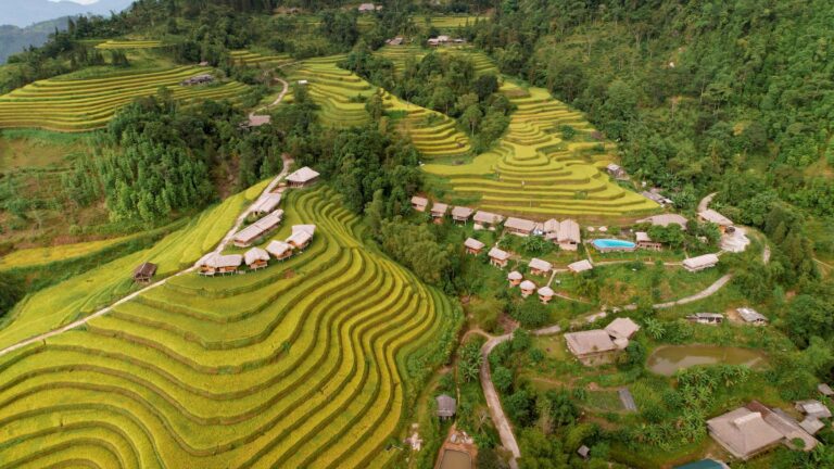 Rice terraces and houses in Hoang Su Phi