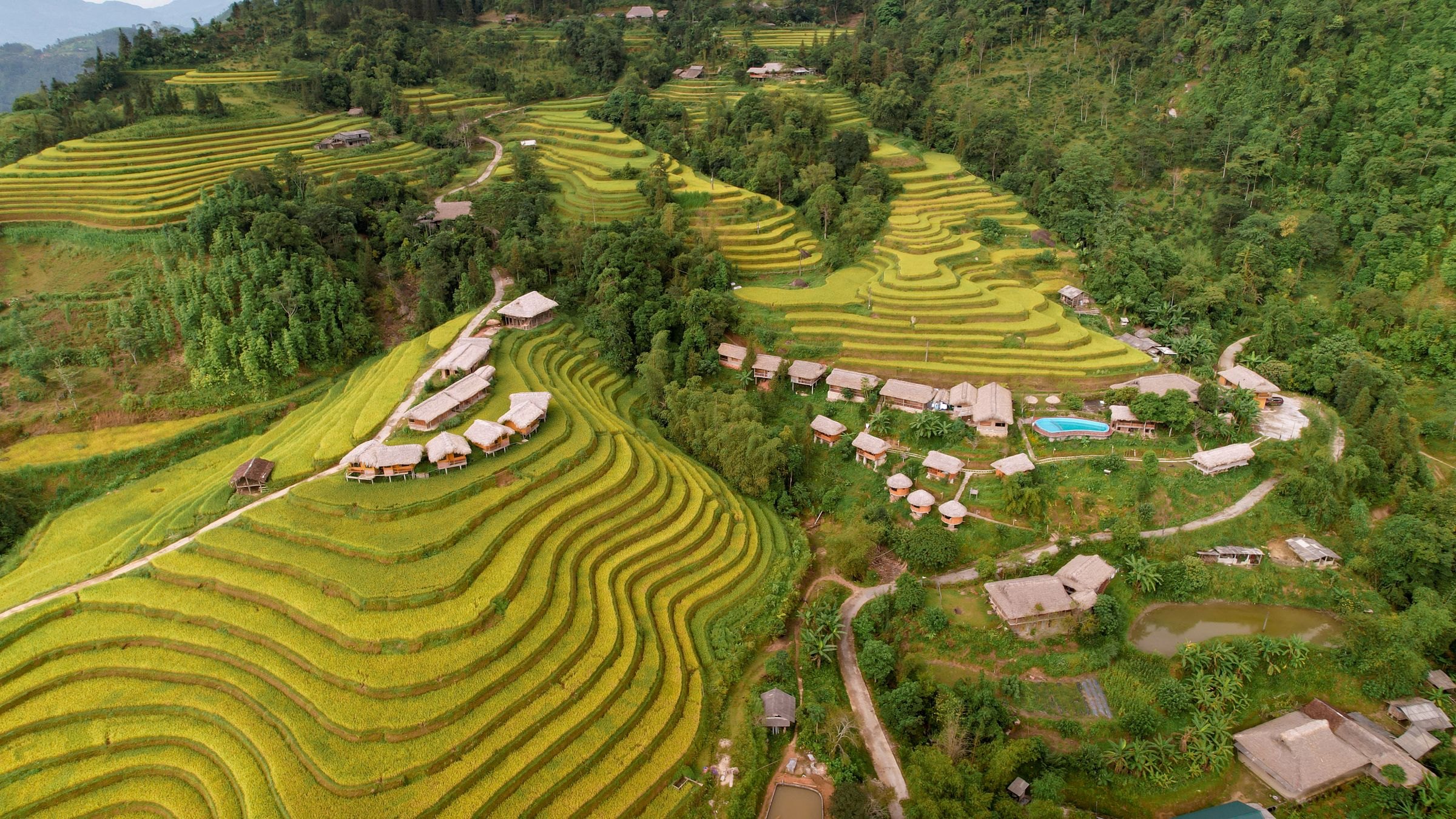 Rice terraces and houses in Hoang Su Phi