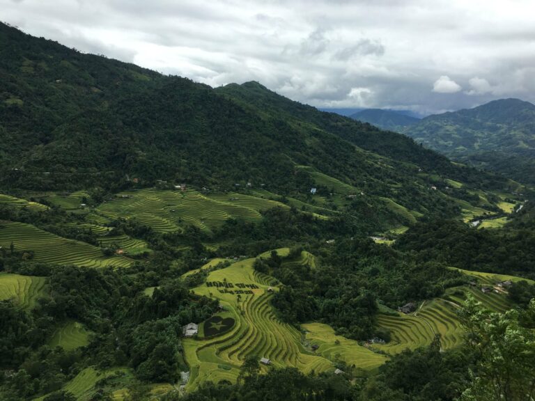 Lush rice terraces in Hoang Su Phi