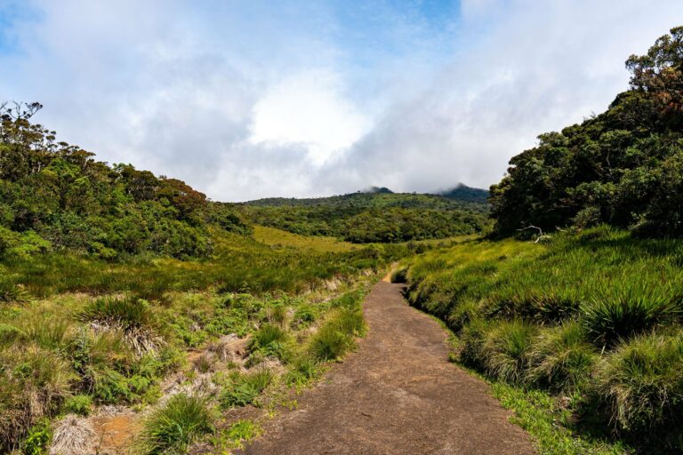 A trail across Horton Plains