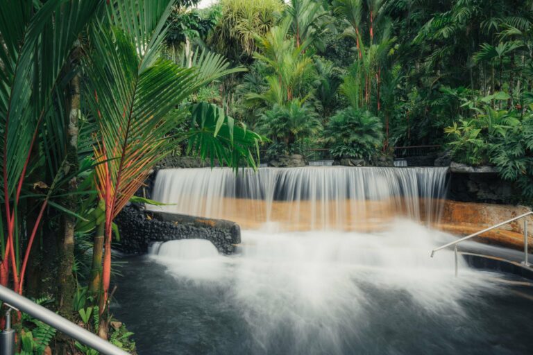 A hot spring cascade in the rainforest