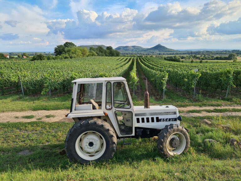 Wine Country (Tokaj & Eger)