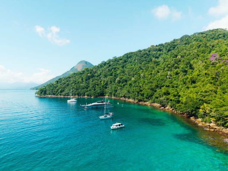 The coast of Ilha Grande