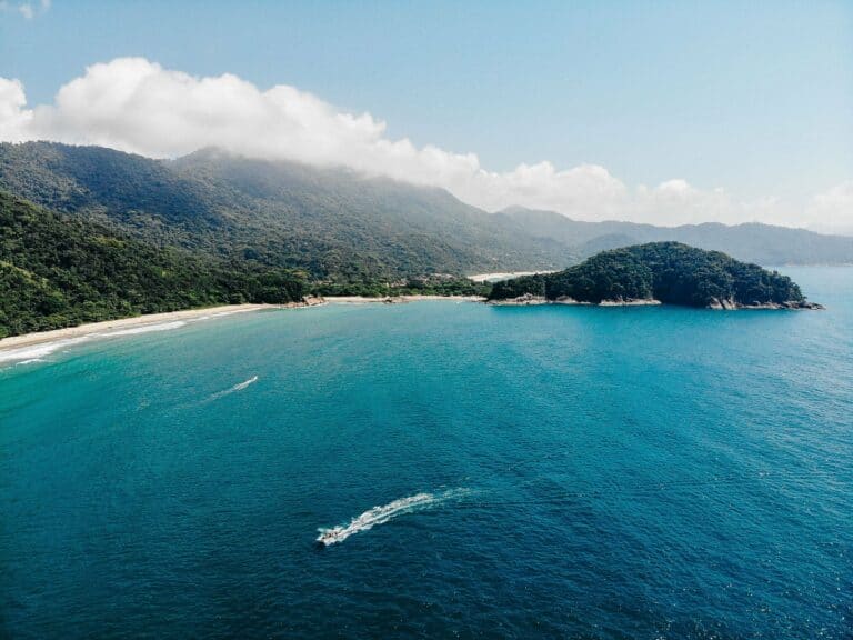 The forested coastline of Ilha Grande, Brazil
