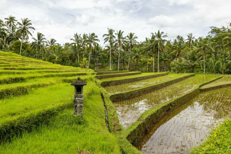 Ubud, Bali