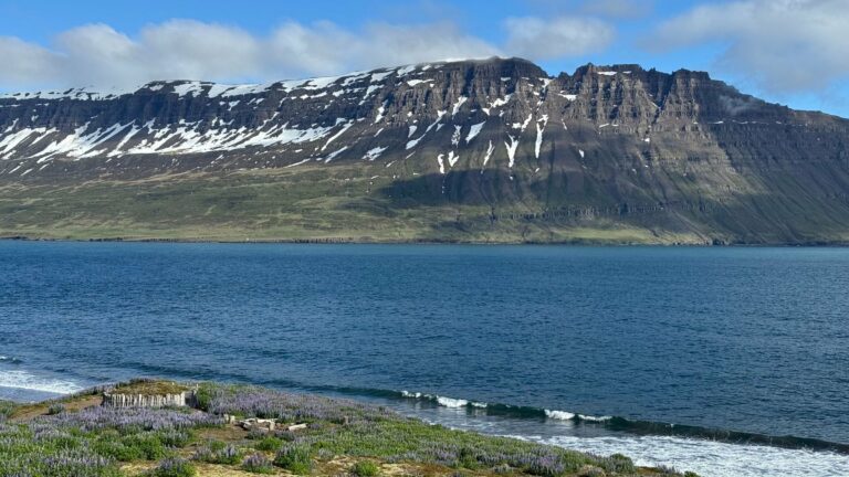 A snow-capped fjord at Ísafjörður