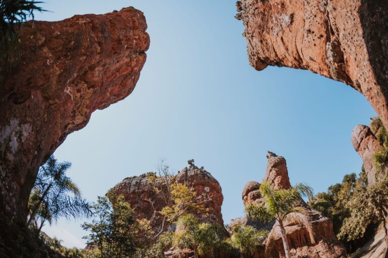 A sandstone canyon in Isalo National Park