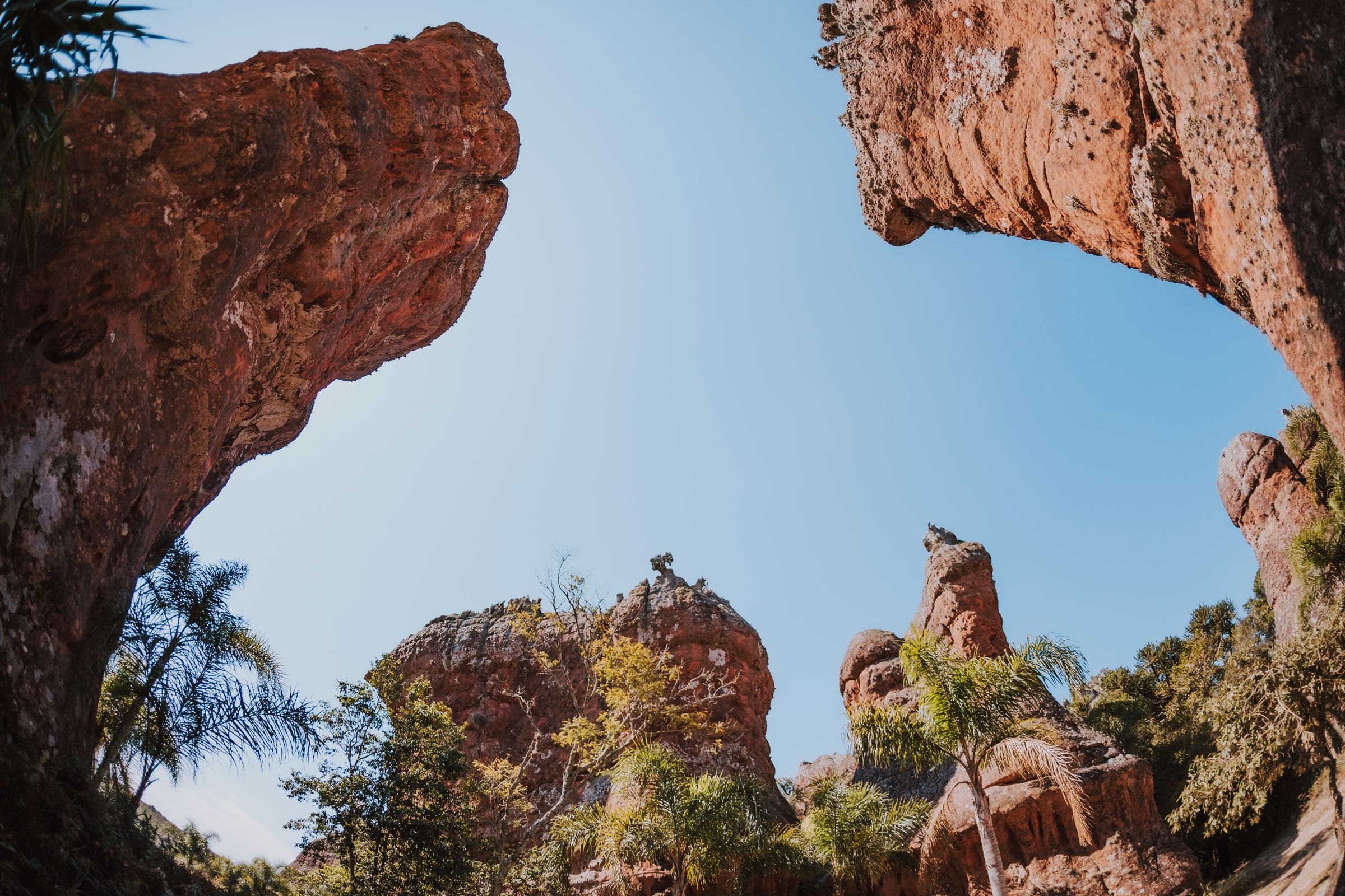 A sandstone canyon in Isalo National Park