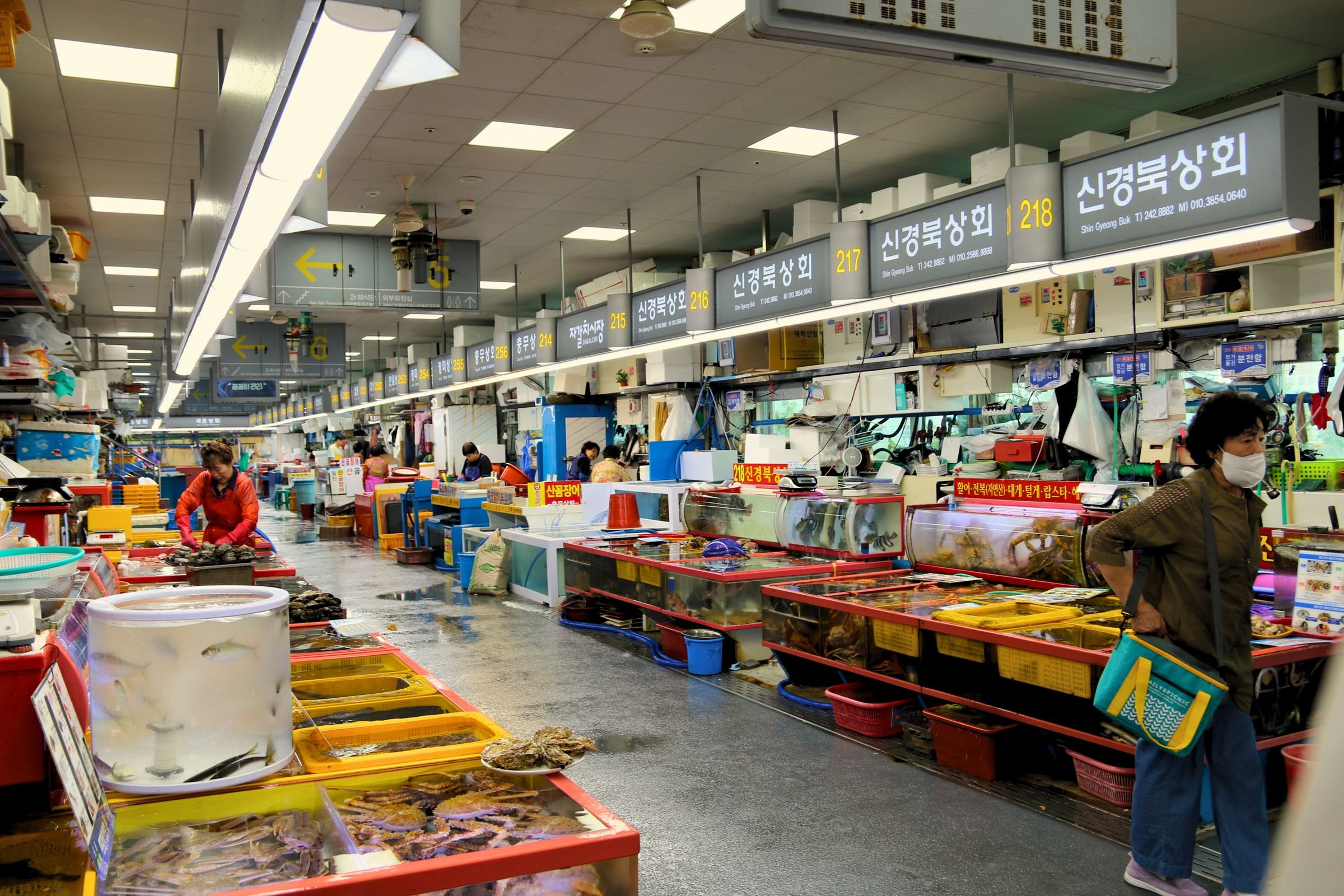 Jagalchi fish market in Busan