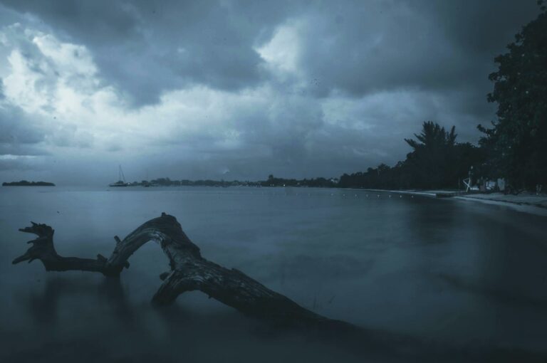 Negril & West Coast