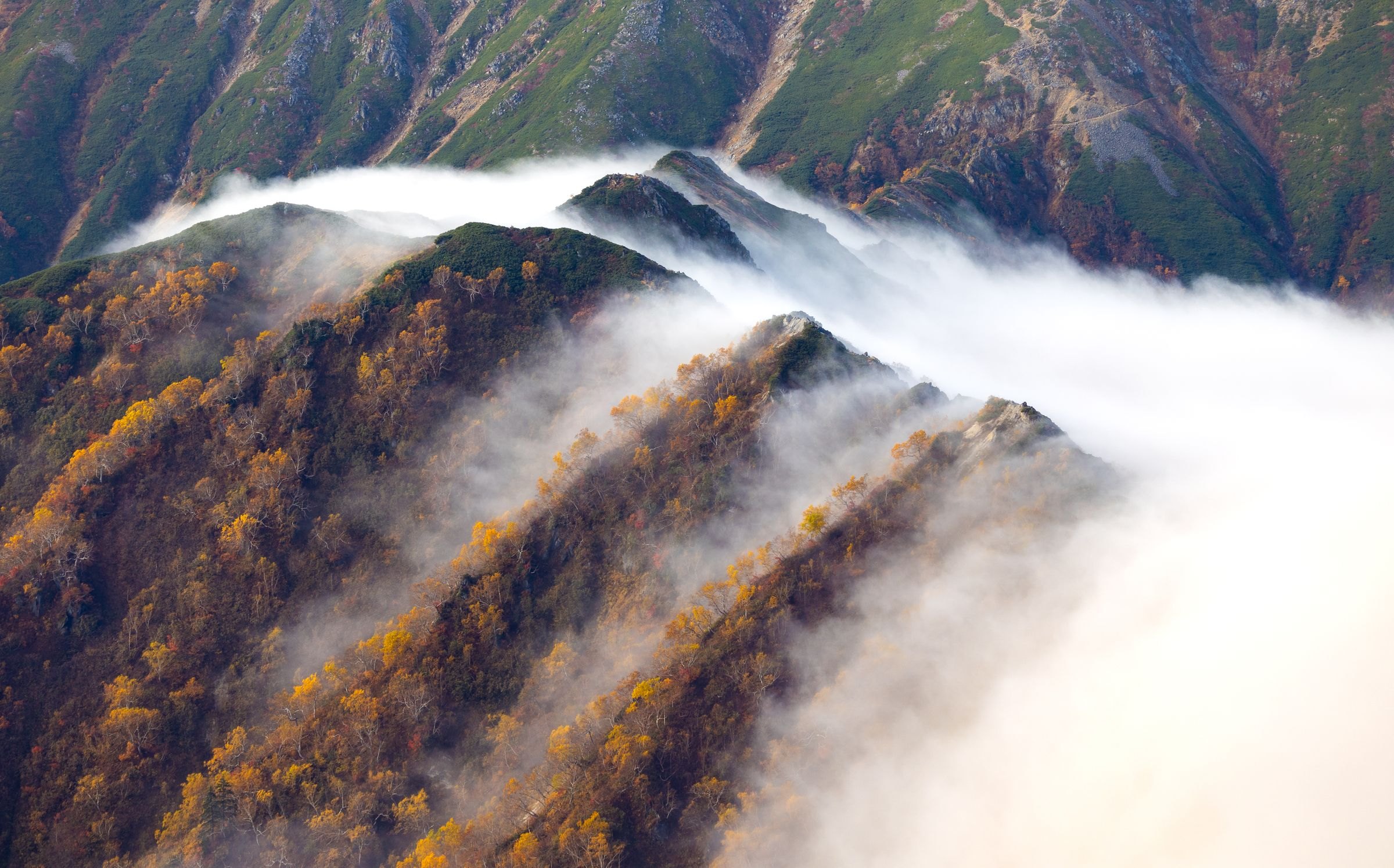 Misty autumn ridges in the Japanese Alps