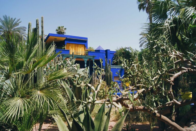 The blue villa in the Jardin Majorelle