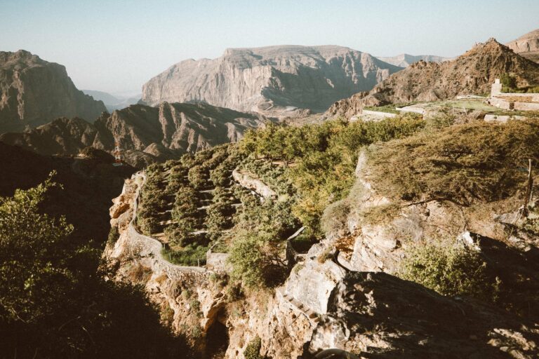 Terraced farms on Jebel Akhdar