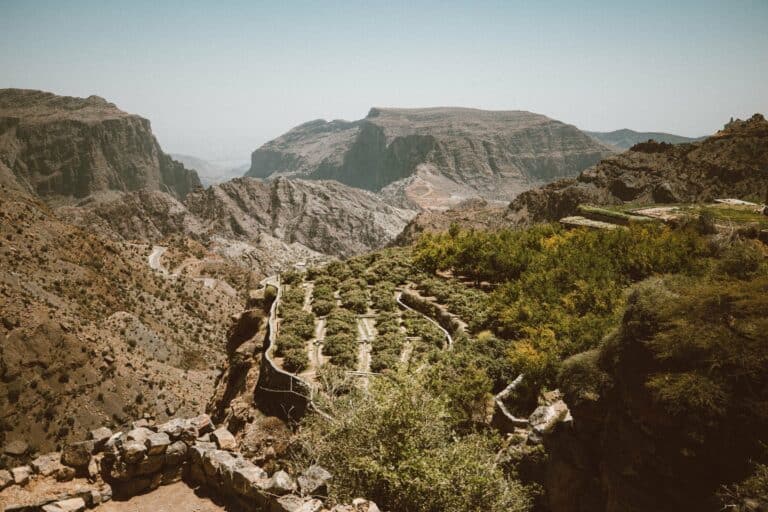 Terraced fields on Jebel Akhdar, Oman