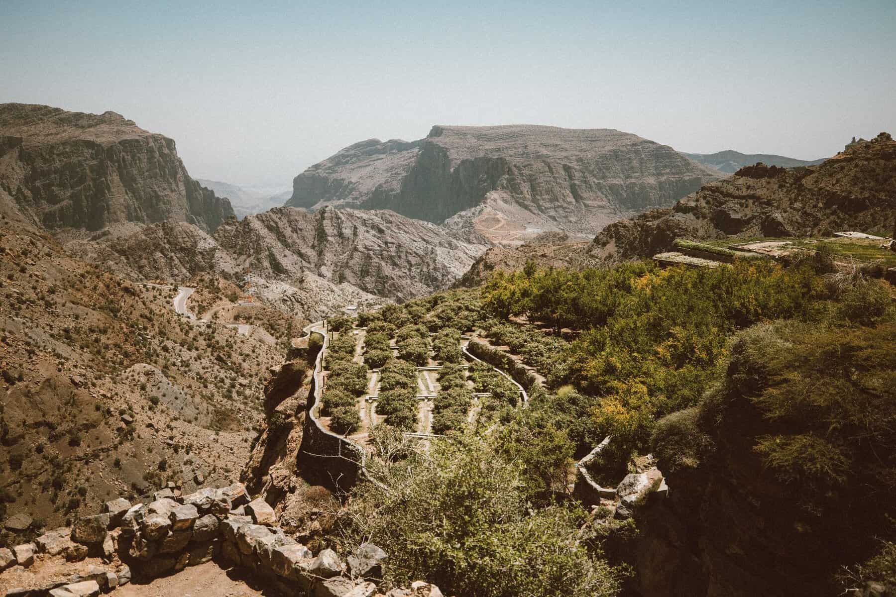 Terraced fields on Jebel Akhdar, Oman
