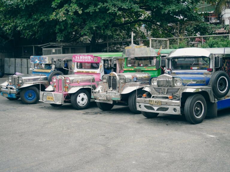 A row of jeepneys