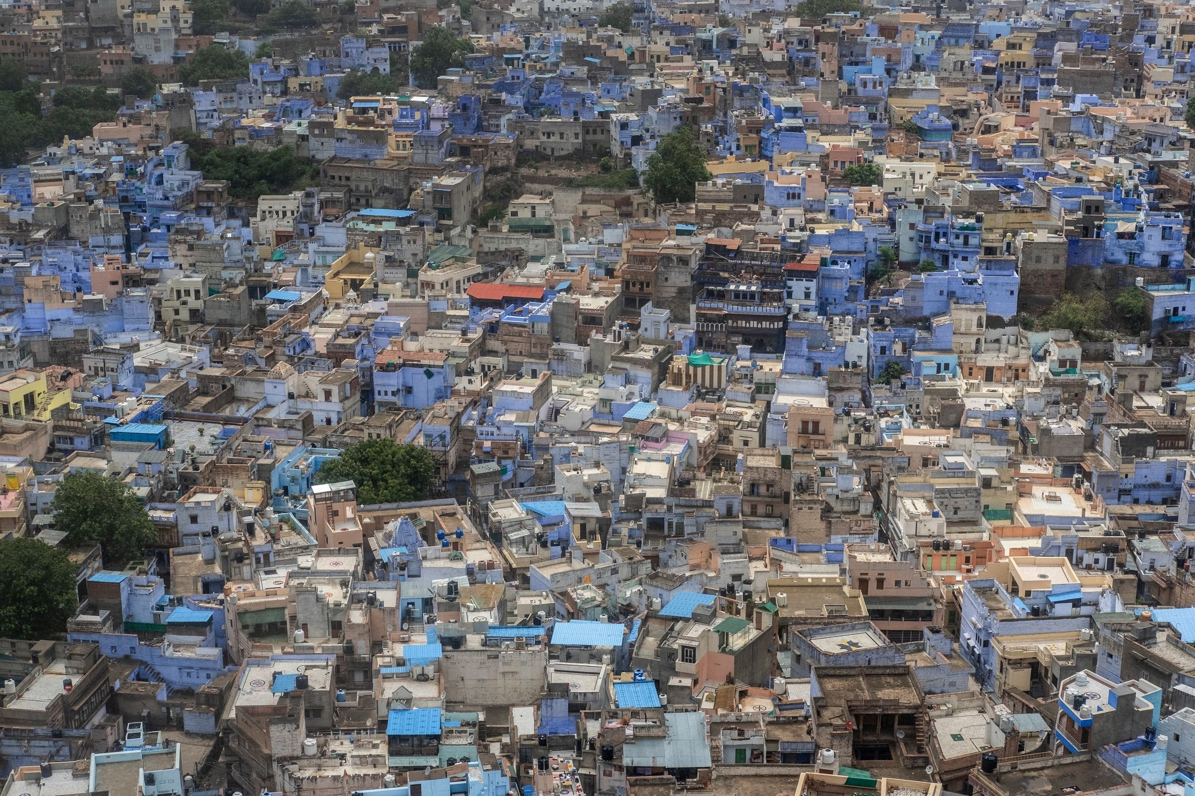 The blue houses of Jodhpur
