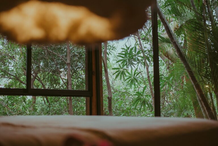 A tropical room looking out over greenery