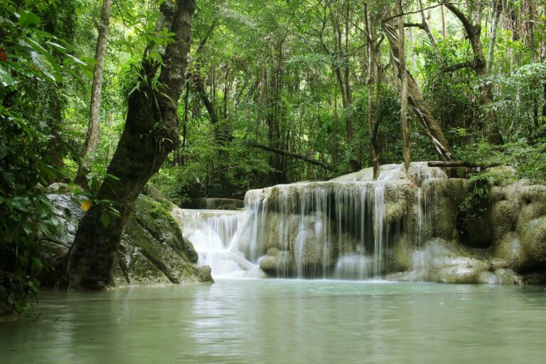 A waterfall in lush jungle