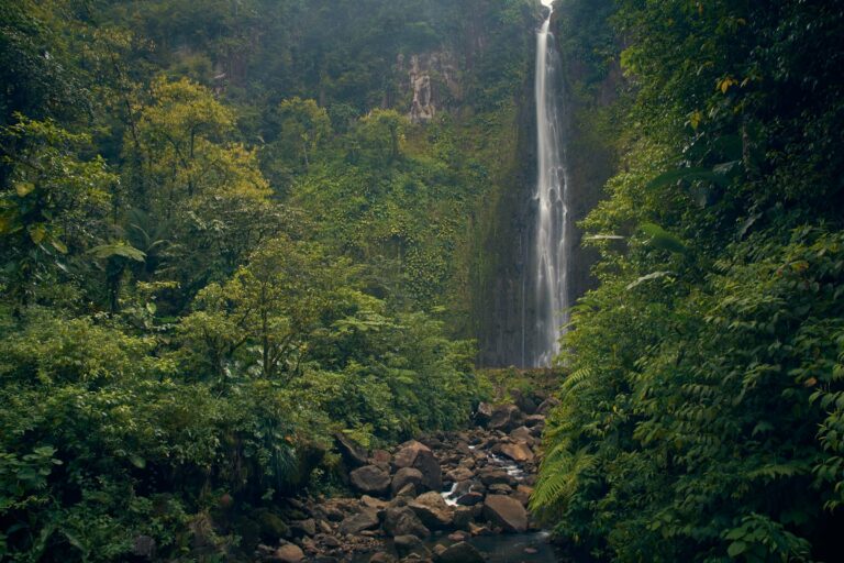A waterfall in the Sumatran rainforest