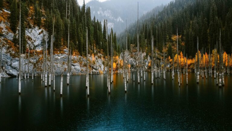 The sunken forest of Kaindy Lake
