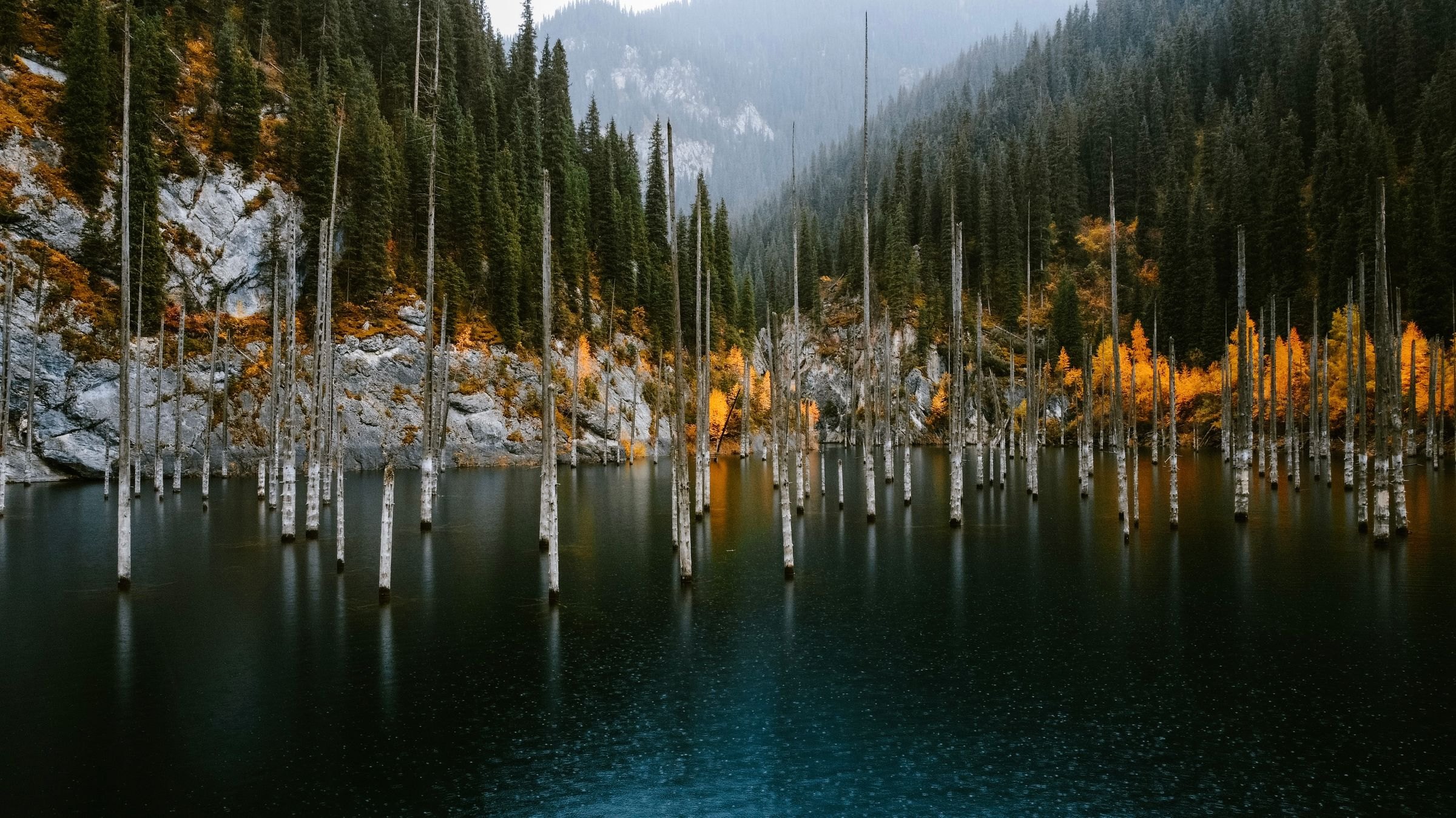 The sunken forest of Kaindy Lake