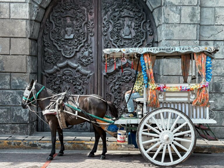 A horse-drawn kalesa