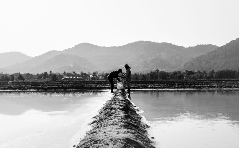 Salt fields near Kampot