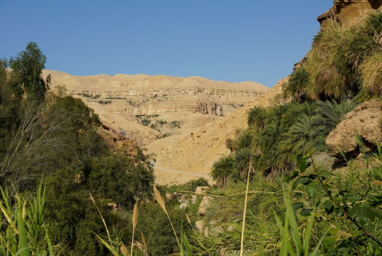 A desert canyon near Karak, Jordan