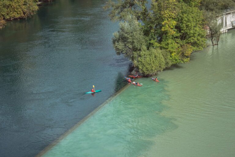 Kayakers on a green river from above