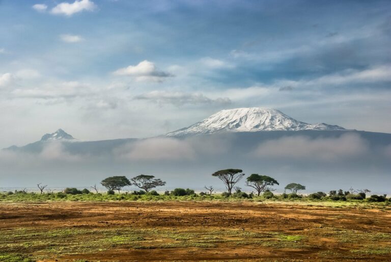 Snow-capped Kilimanjaro above the plains