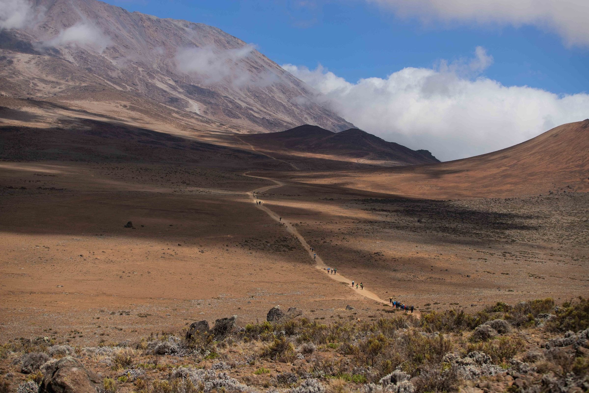 A trekking path across the slopes of Kilimanjaro