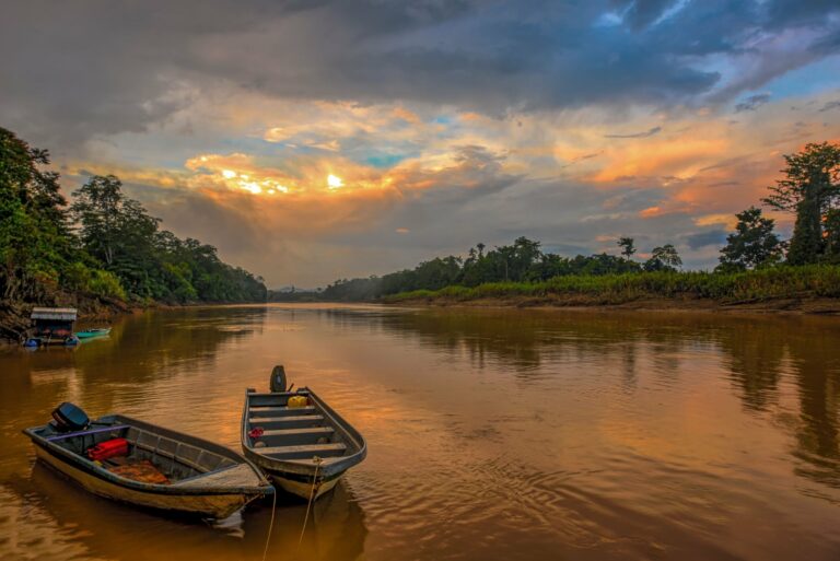 Boats moored on a jungle river at sunset