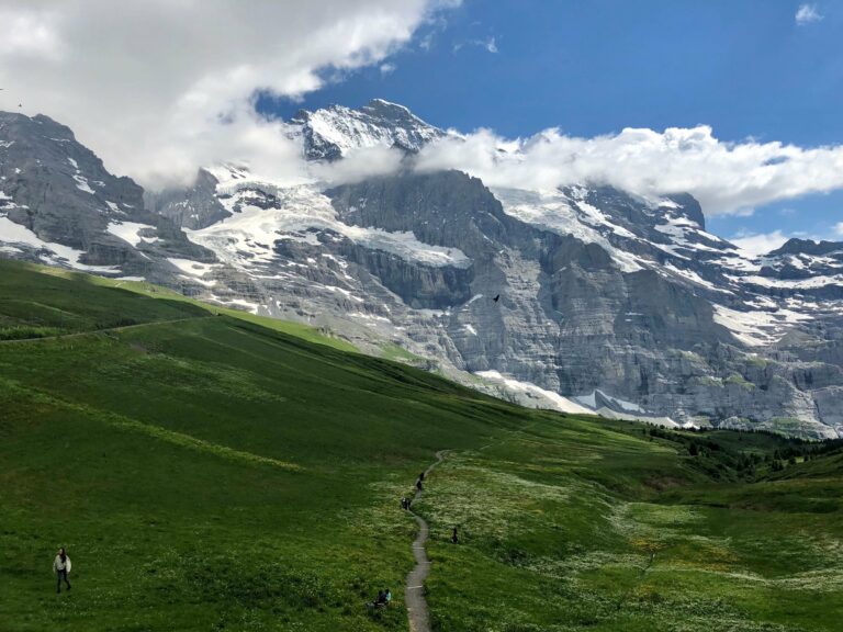 Alpine meadows below snowy peaks near the Kleine Scheidegg
