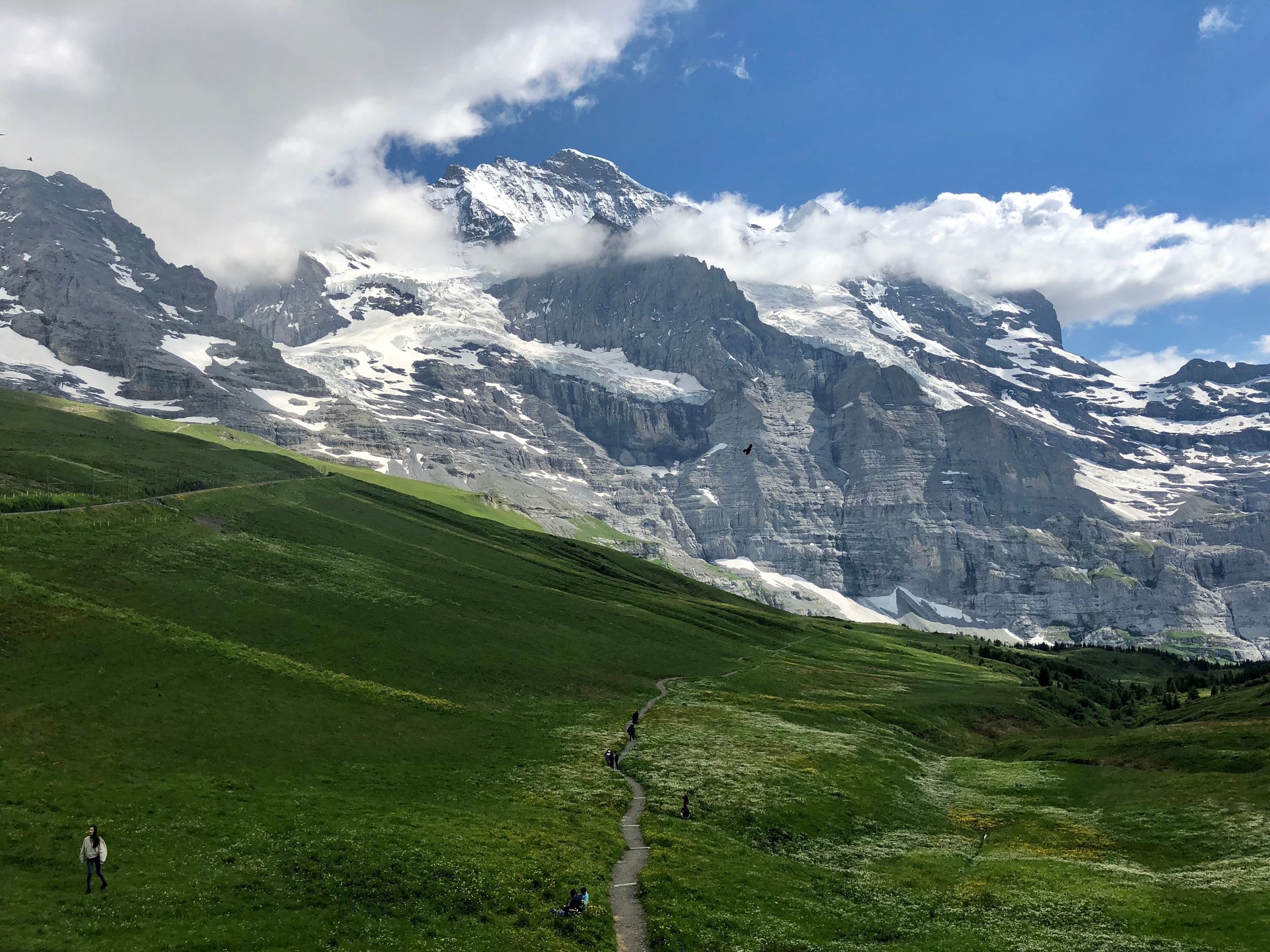 Alpine meadows below snowy peaks near the Kleine Scheidegg