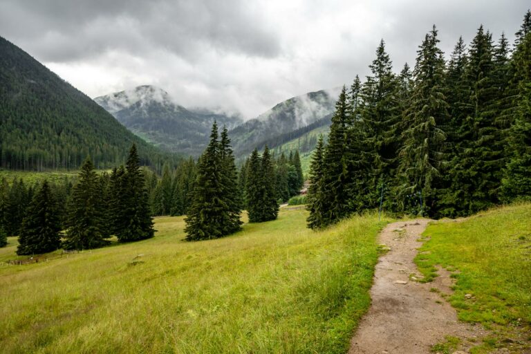 Rugova & West