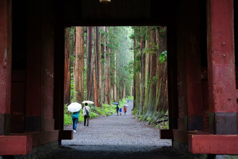 A cedar-lined path on Koyasan