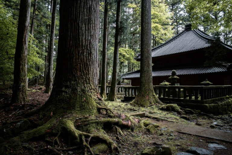 A temple in the forest on Koyasan